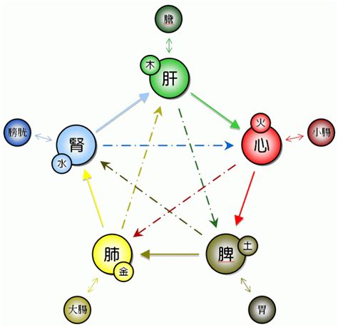 五行 個性|五行人格